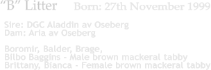 Boromir, Balder, Brage, Bilbo Baggins - Male brown mackeral tabby Brittany, Bianca - Female brown mackeral tabby �B� Litter     Born: 27th November 1999  Sire: DGC Aladdin av Oseberg Dam: Aria av Oseberg